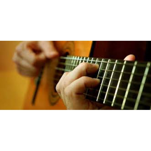 کنسرت هنرجویی گیتار. شهریور 95